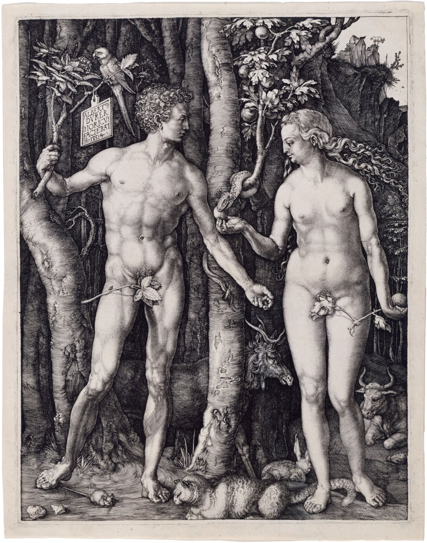 Adam and Eve - Albrecht Dürer