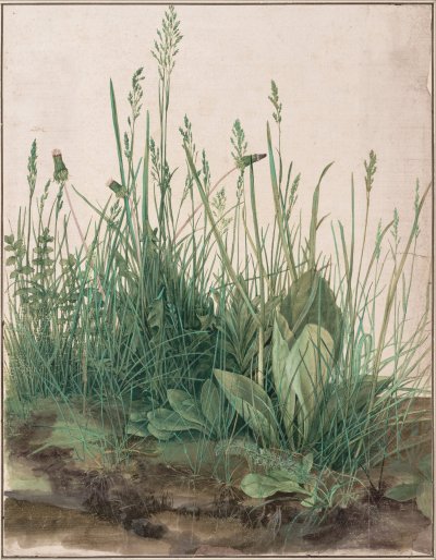 The Blade of Grass