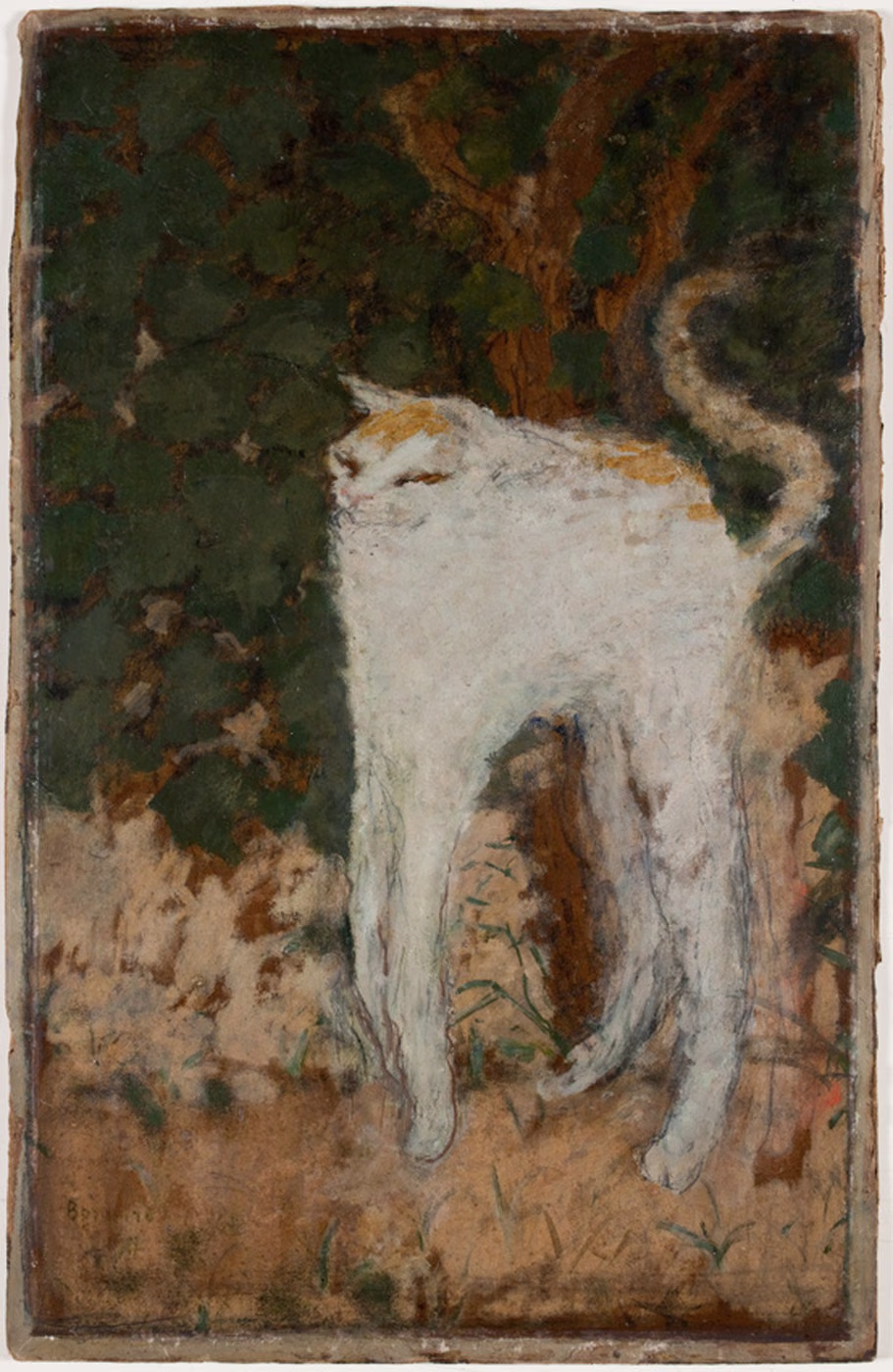 Le Chat blanc - Pierre Bonnard