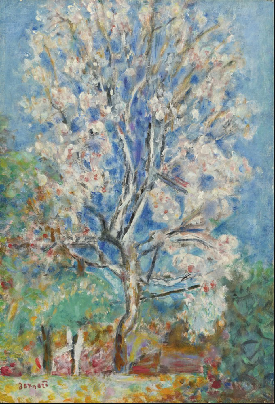 L'Amandier en fleurs