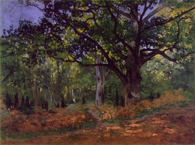 Le chêne, forêt de Fontainebleau
