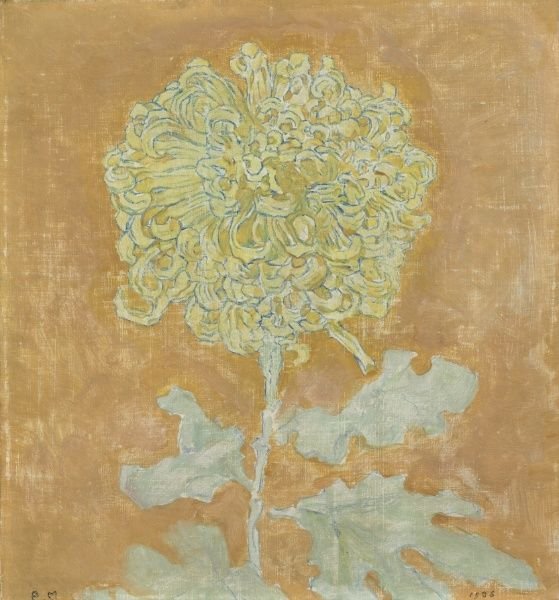Chrysanthemum - Piet Mondrian