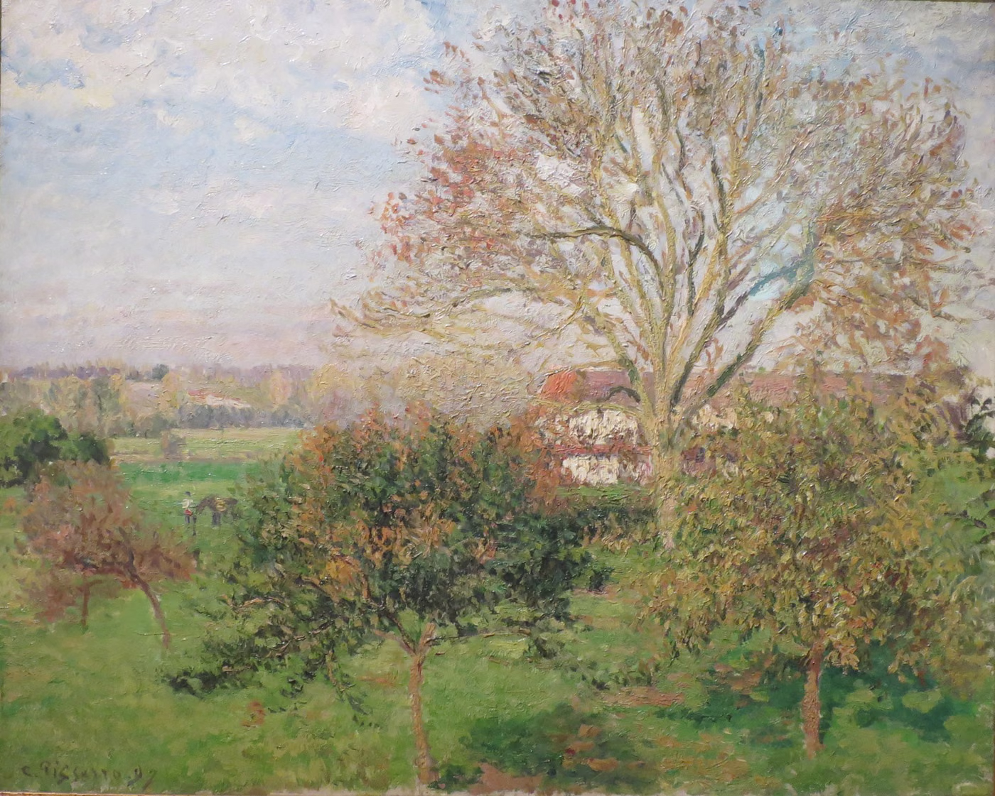 Le Grand Noyer, matin d'automne, Éragny ( Matin d'automne à Eragny) - Camille Pissarro