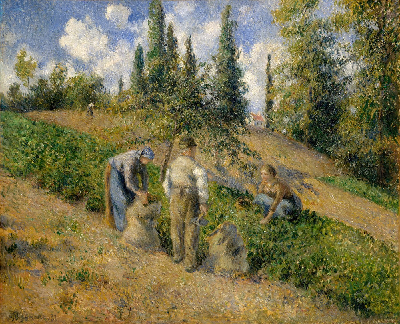 Le Récolte, Pontoise - Camille Pissarro