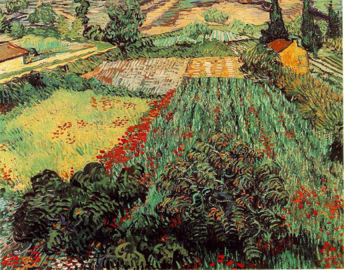 Champ aux coquelicots - Vincent Van Gogh