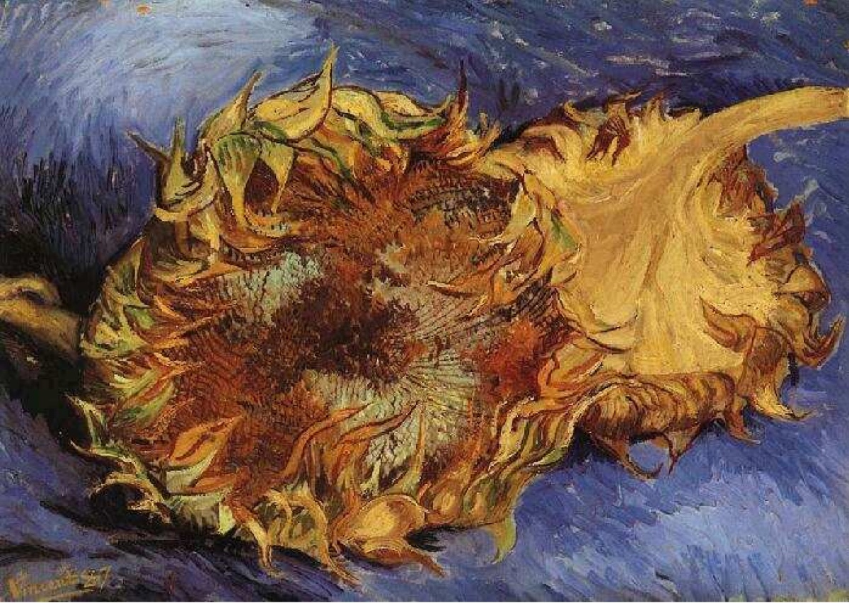 Deux tournesols coupés - Vincent Van Gogh