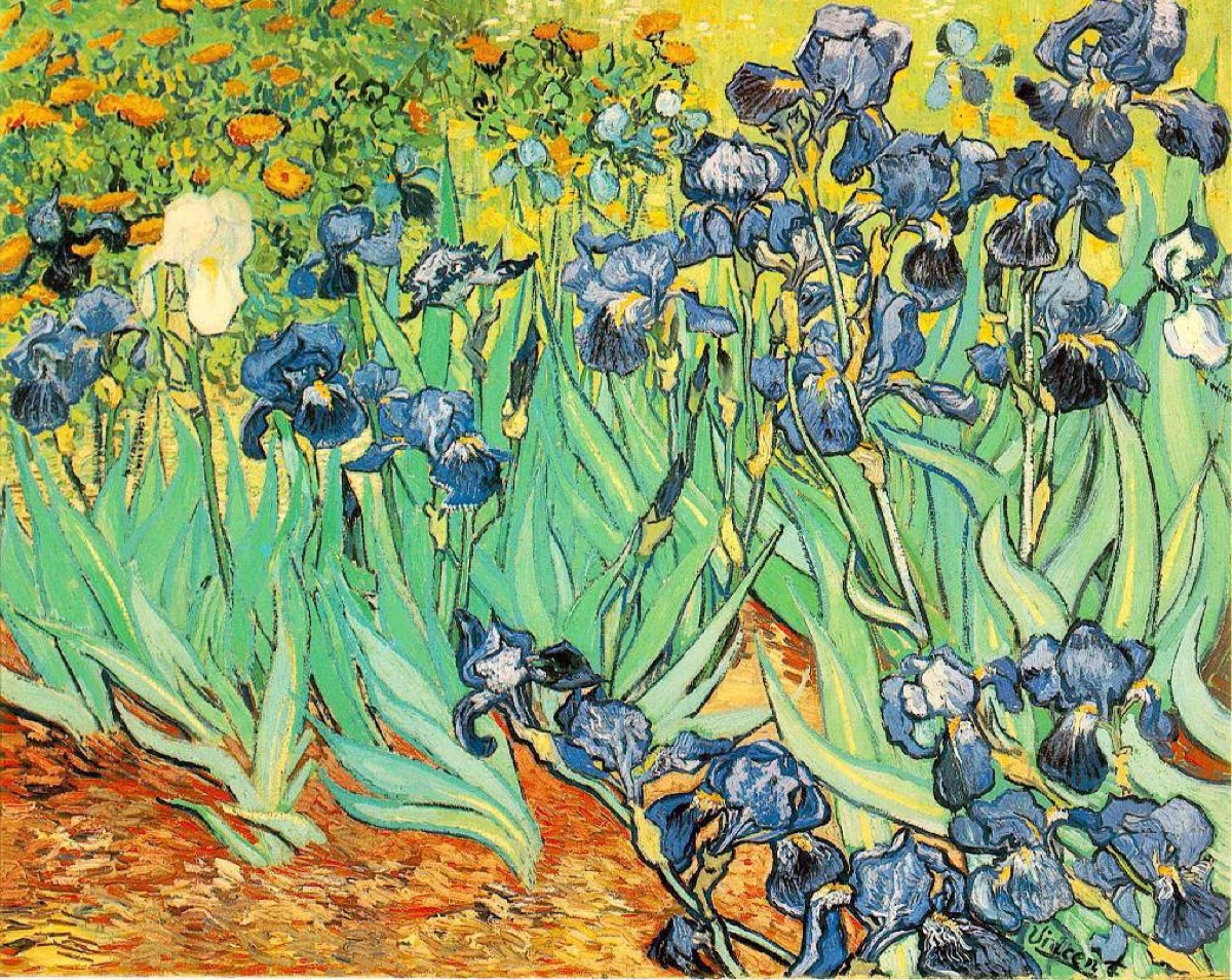 Iris - Vincent Van Gogh