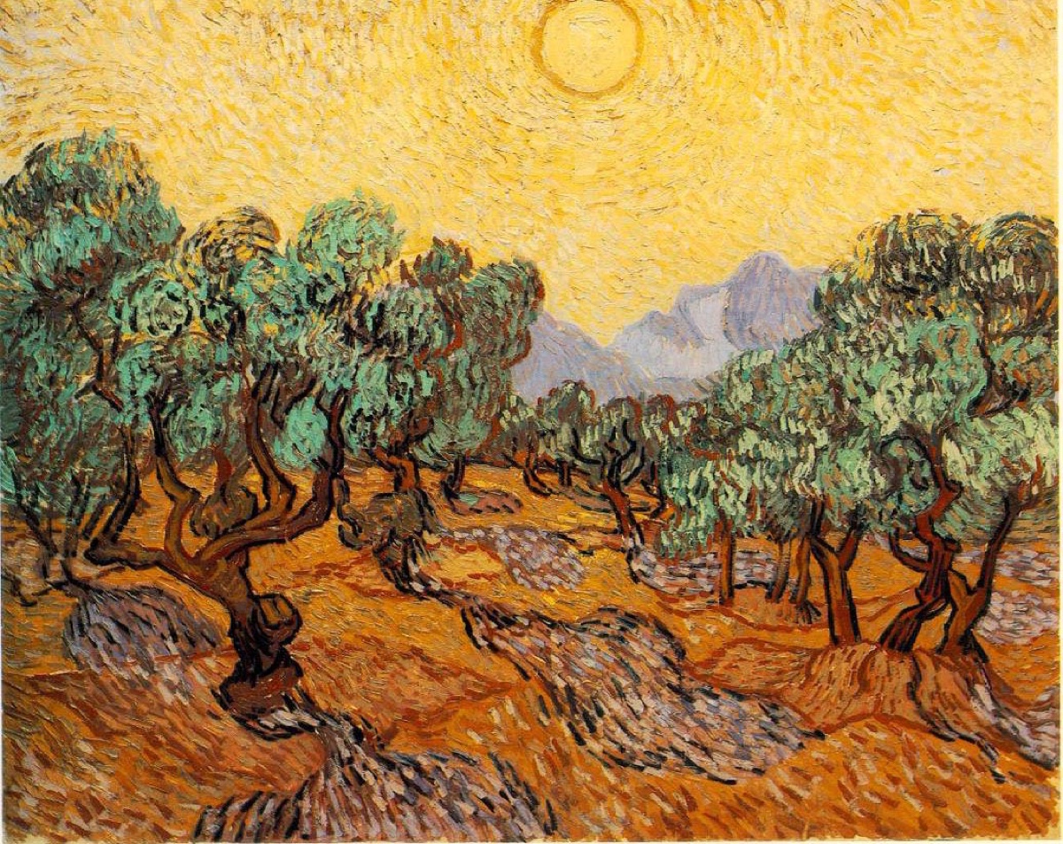 Oliviers avec ciel jaune et soleil  - Vincent Van Gogh
