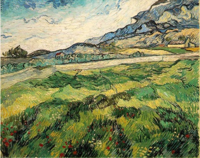 Le champ de blé vert