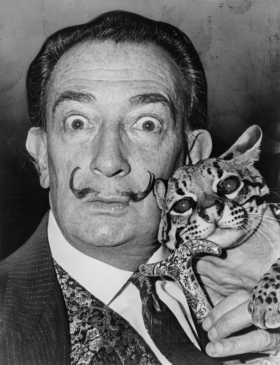 Portrait de Salvador Dali